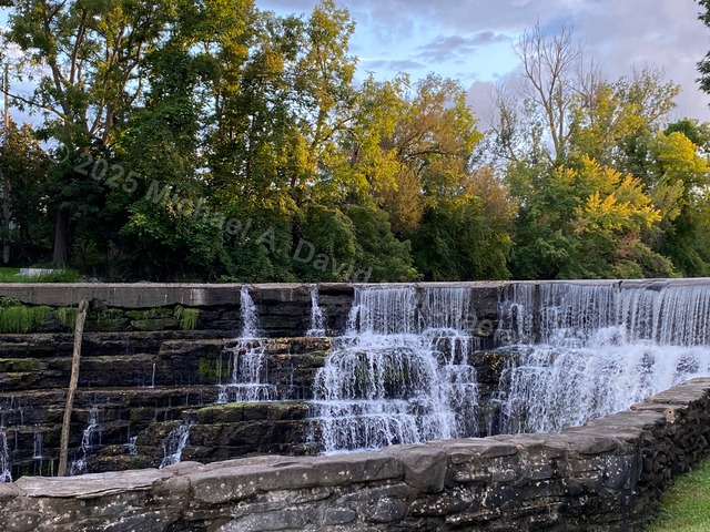 nature_2021-09-22 18.30.50-2021.jpg